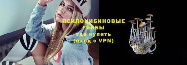 дмт Медногорск