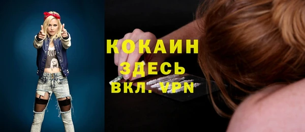 винт Мегион