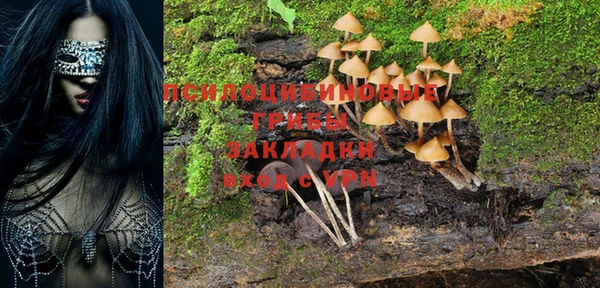 индика Гусиноозёрск