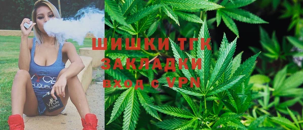 винт Мегион
