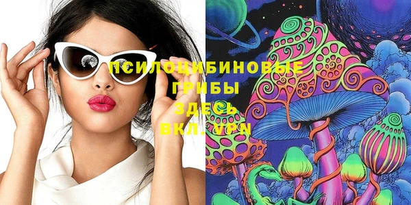 винт Мегион