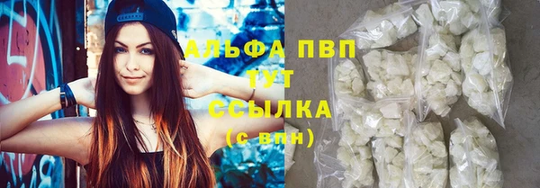 прущие крисы Медвежьегорск