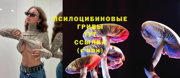 прущие крисы Медвежьегорск