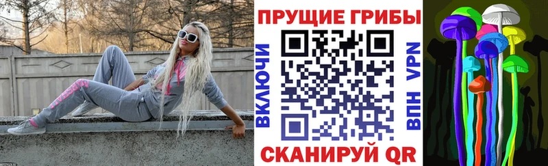 Псилоцибиновые грибы GOLDEN TEACHER  закладка  Боготол 